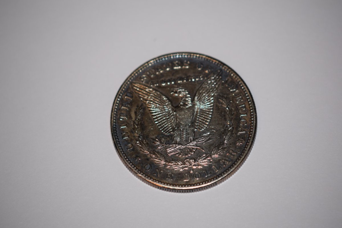 Should-I-Send-This-1892-S-Morgan-In-For-Grading?
