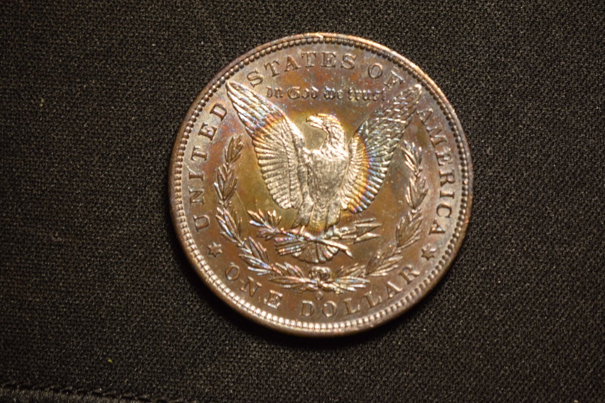 1886-O-Morgan-For-Grading