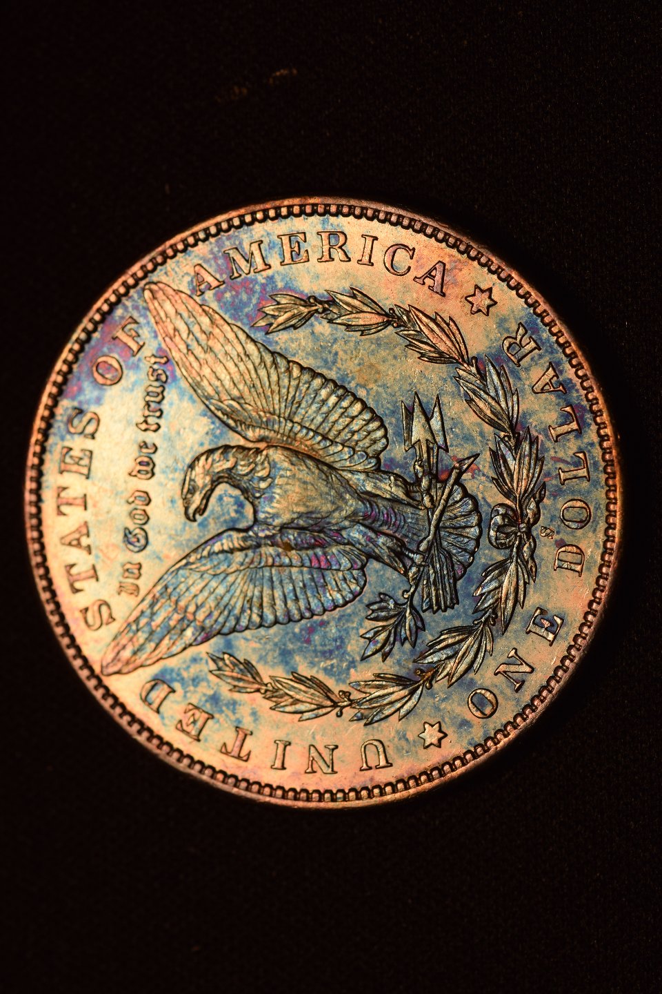 1895-S-Morgan-For-Possible-Submission