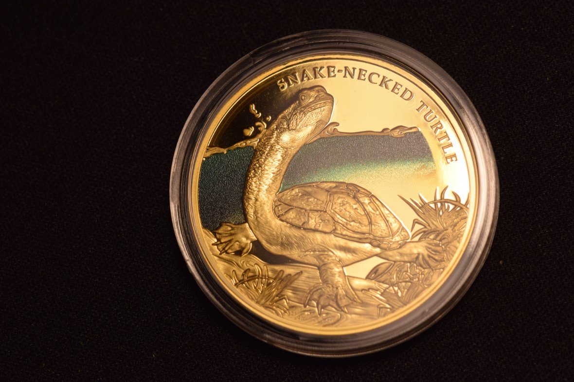 2020-Niue-Snake-Necked-Turtle-Gold-Proof