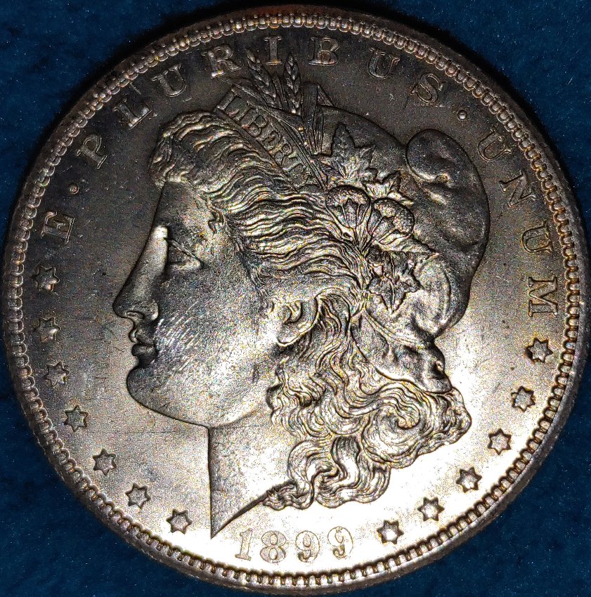 Possible-1899-O-Micro-O-Morgan-Dollar