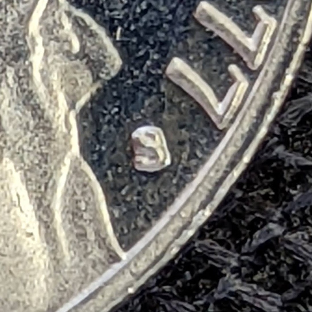 1977-S-Nickel---Mint-Mark-Issue?