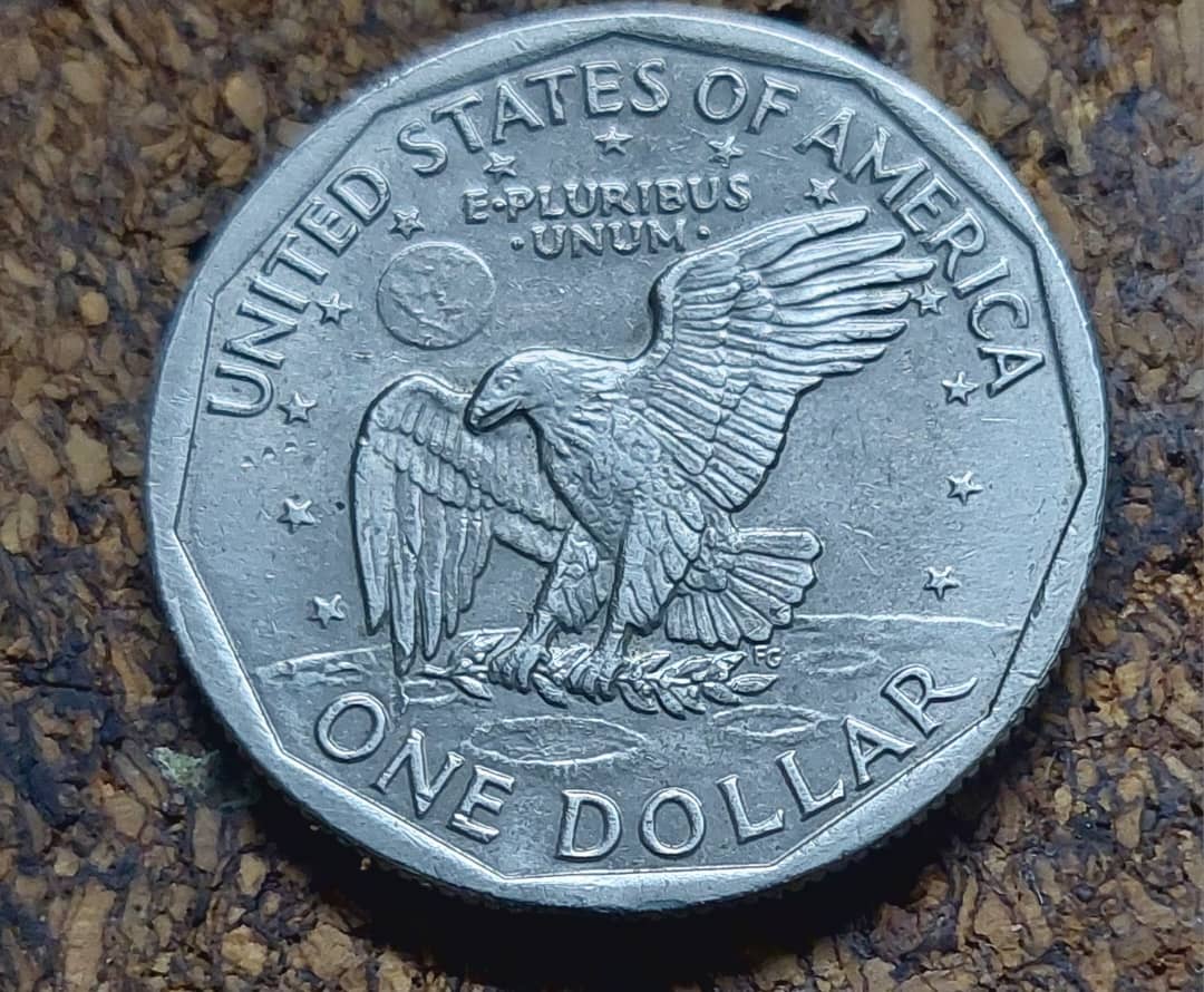 Susan-B.-Anthony-Coin,-Is-This-A-Die-Clash--On-The-Word-
