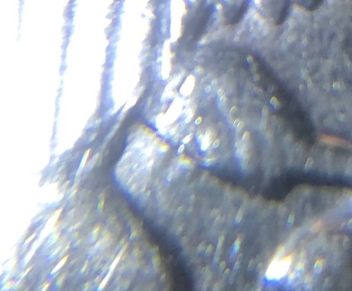 1972-D-JFK-Half-Dollar-Inquiry
