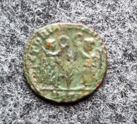 Constans-1-Two-Victories-Facing-Varieties-Puzzle