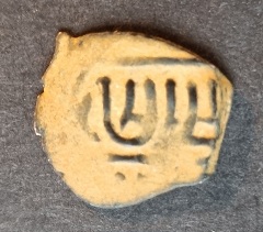 Maybe-Lion-?-Coin-Found-In-Bulk-Lot