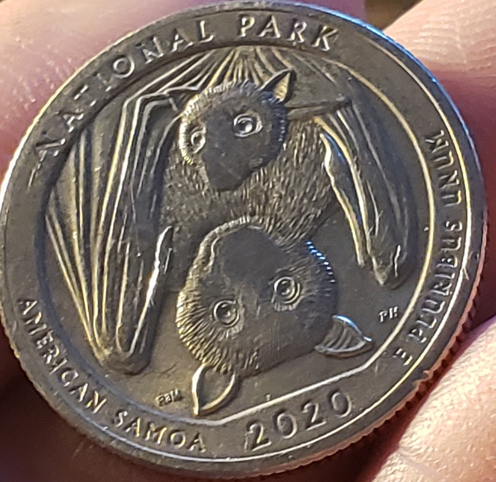 Help-With-This-2020-American-Samoa-Quarter