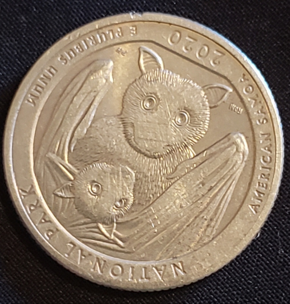 Help-With-This-2020-American-Samoa-Quarter