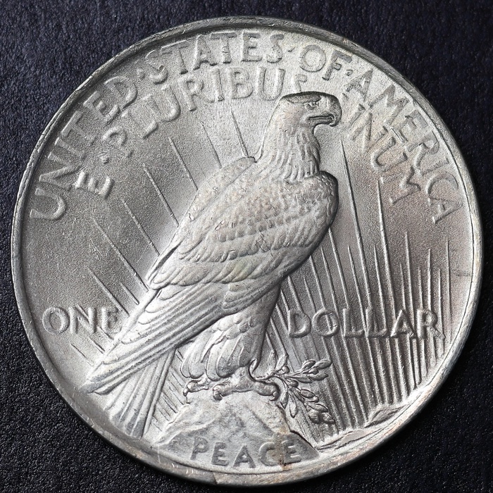 1922-Peace-Dollar-Grade-Rim-Question