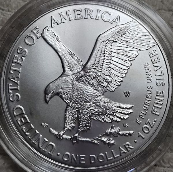 Dearborn's-American-Eagle-Coin-Collection.