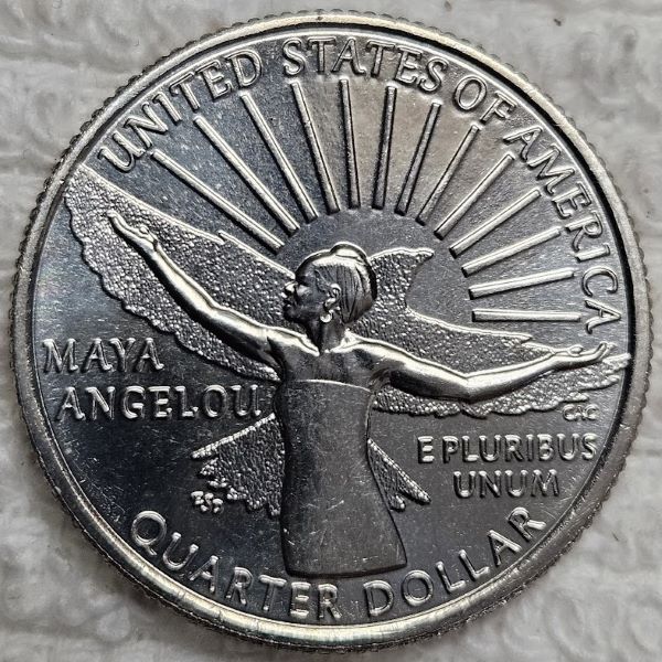 Dearborn's-Completed-Washington-Quarter-Dansco-Collection