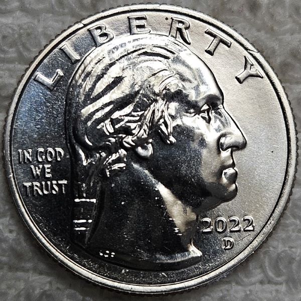 Dearborn's-Completed-Washington-Quarter-Dansco-Collection