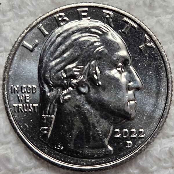 Dearborn's-Completed-Washington-Quarter-Dansco-Collection
