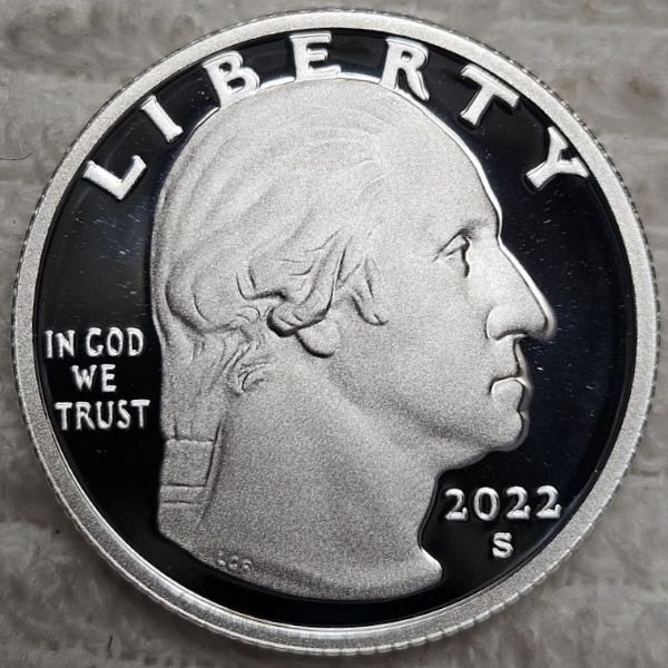 Dearborn's-Completed-Washington-Quarter-Dansco-Collection