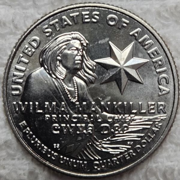 Dearborn's-Completed-Washington-Quarter-Dansco-Collection