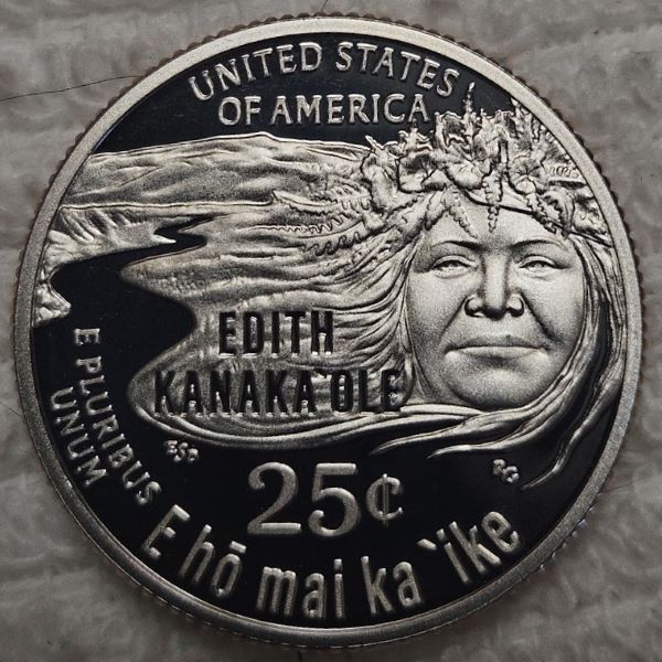 Dearborn's-Completed-Washington-Quarter-Dansco-Collection
