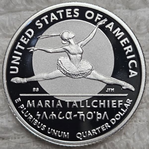 Dearborn's-Completed-Washington-Quarter-Dansco-Collection