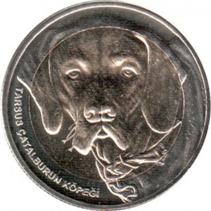 Post-Your-Sun-Face,-Sunrise,-Or-Sunset-Coins!