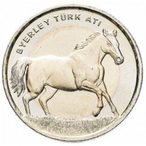 Post-Your-Coins-With-Horses