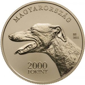 Post-Your-Coins/Medals/Tokens-With-A-Dog