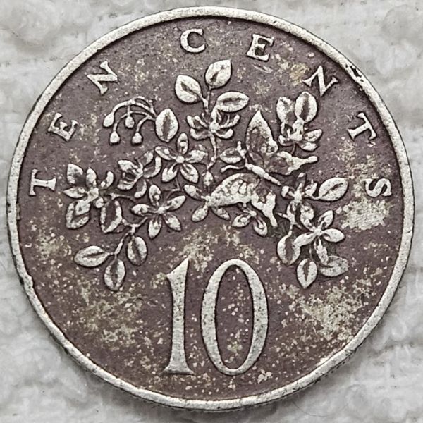 Show-Your-Coins-With-Fruit.