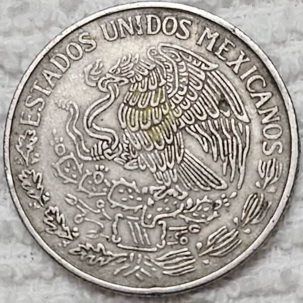 Show-Your-Coins-With-Fruit.