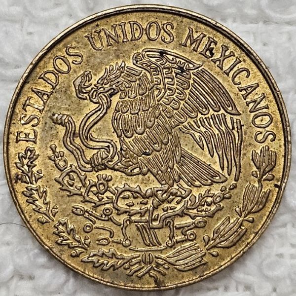 Show-Your-Coins-With-Fruit.