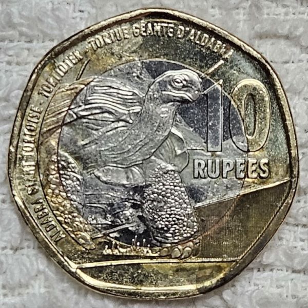 Post-Your-Coin-/-Medal-/-Bank-Note-With-A-Shell
