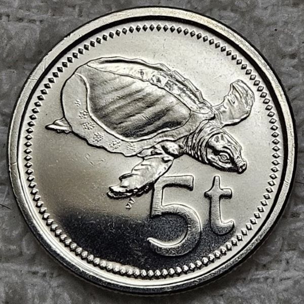 Post-Your-Coin-/-Medal-/-Bank-Note-With-A-Shell