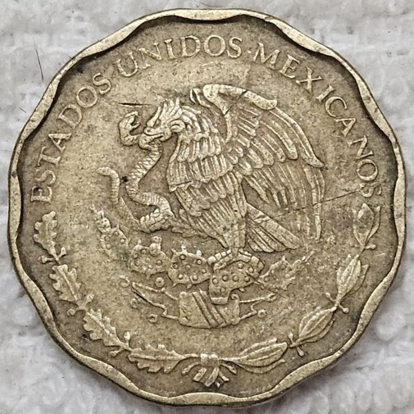 Post-Your-Coins-Representing-The-Animal-Kingdom.