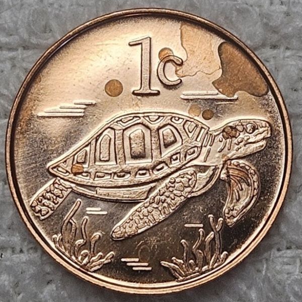 Post-Your-Coin-/-Medal-/-Bank-Note-With-A-Shell