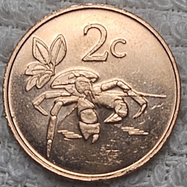 Post-Your-Coin-/-Medal-/-Bank-Note-With-A-Shell