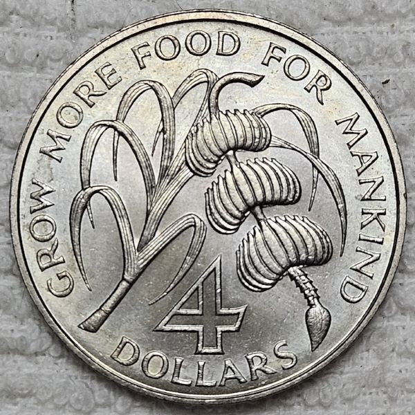 Post-Your-Coin-/-Medal-/-Bank-Note-With-A-Shell