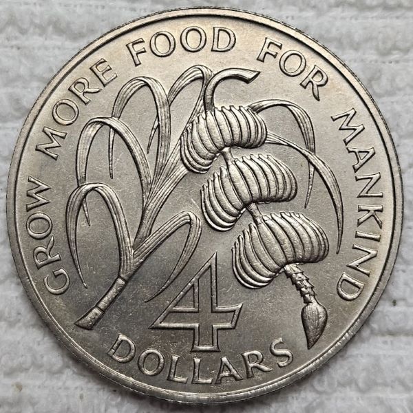 Post-Your-Coin-/-Medal-/-Bank-Note-With-A-Shell