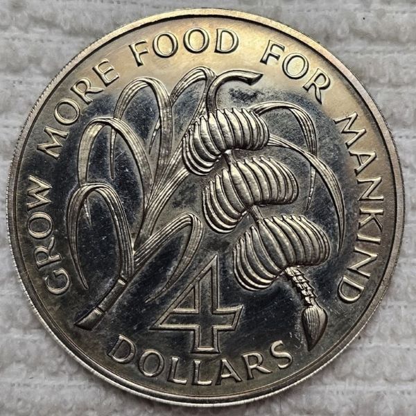 Post-Your-Coin-/-Medal-/-Bank-Note-With-A-Shell