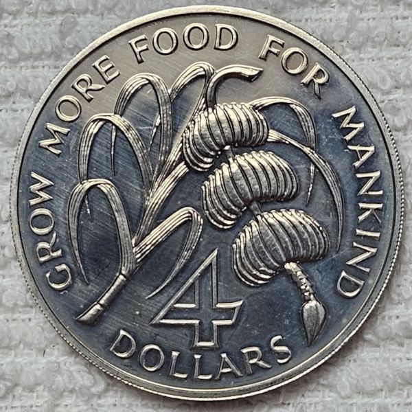Post-Your-Coin-/-Medal-/-Bank-Note-With-A-Shell