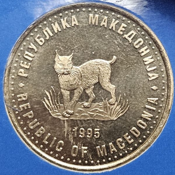 Bring-Out-Your-KM#7-Or-Y#7-Coins-For-Show-&-Tell