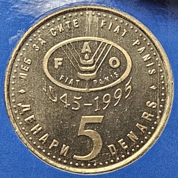 Bring-Out-Your-KM#7-Or-Y#7-Coins-For-Show-&-Tell