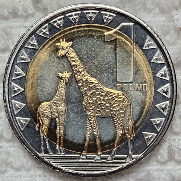 Bring-Out-Your-KM#4-Or-Y#4-Coins-For-Show-&-Tell
