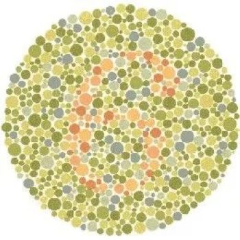 Post-Your-Coins-Representing-The-Animal-Kingdom.