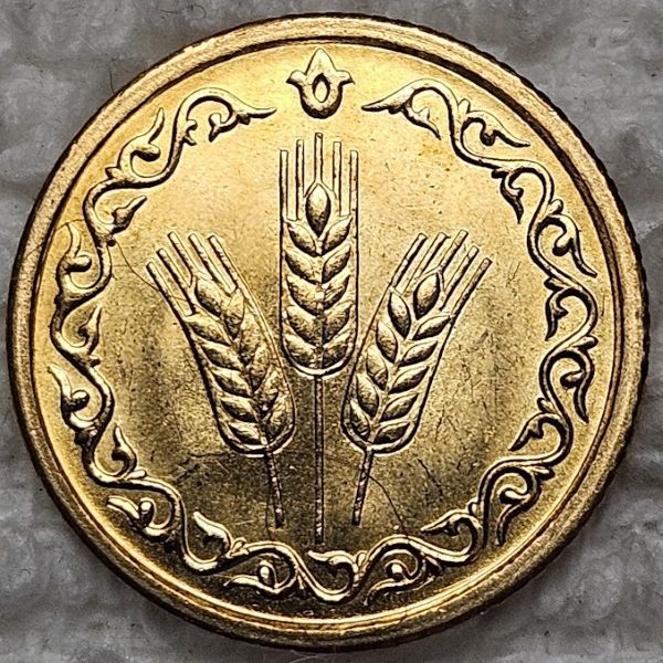 Bring-Out-Your-KM#1-Or-Y#1-Coins-For-Show-&-Tell
