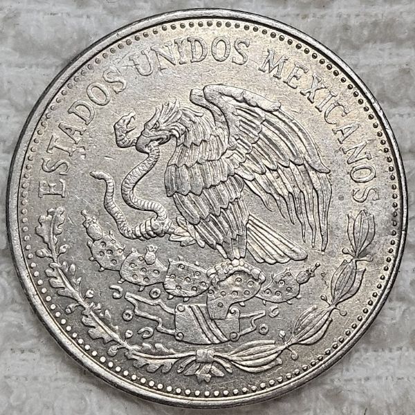 Post-Your-Coins-And-Medals-Featuring-A-Snake.