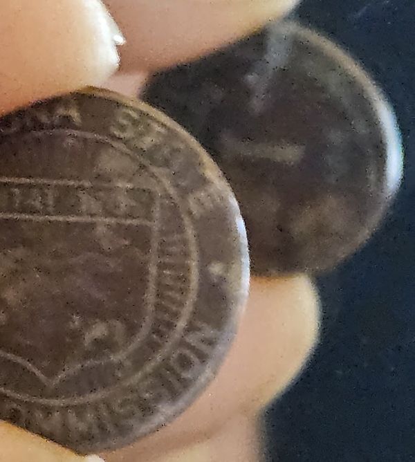 Bovine-Coins---Post-Yours