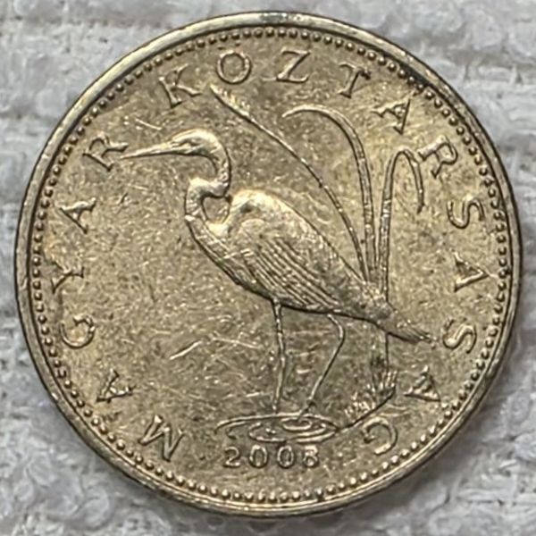 Post-Your-Coins-Representing-The-Animal-Kingdom.