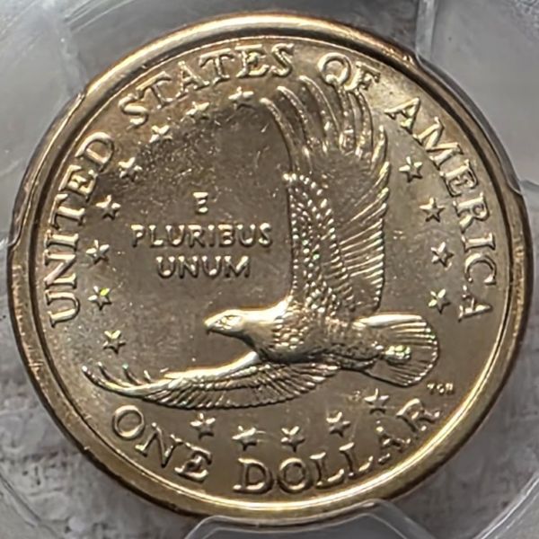 Dearborn's-Sacagawea-Native-American-Small-Golden-Dollar-Collection
