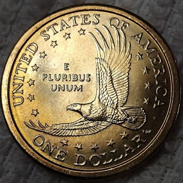 Dearborn's-Sacagawea-Native-American-Small-Golden-Dollar-Collection