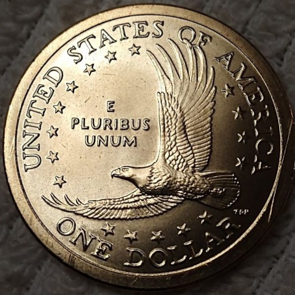 Dearborn's-Sacagawea-Native-American-Small-Golden-Dollar-Collection
