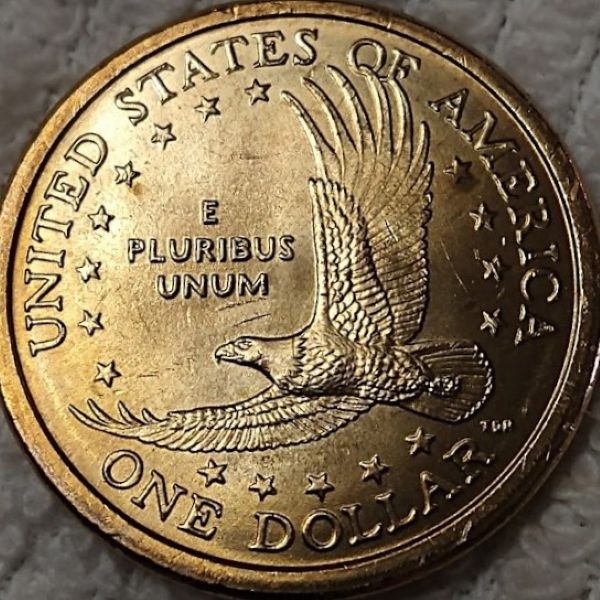 Dearborn's-Sacagawea-Native-American-Small-Golden-Dollar-Collection