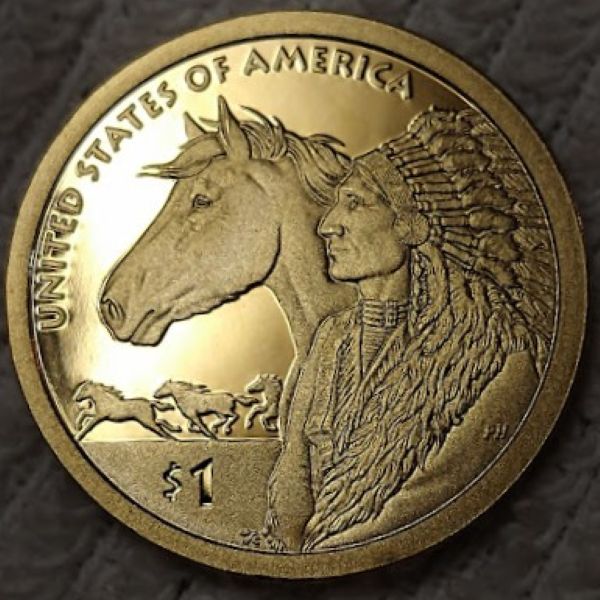 Dearborn's-Sacagawea-Native-American-Small-Golden-Dollar-Collection