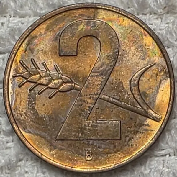 Continuing-List-To-Show-Everyones-Latest-Acquisitions